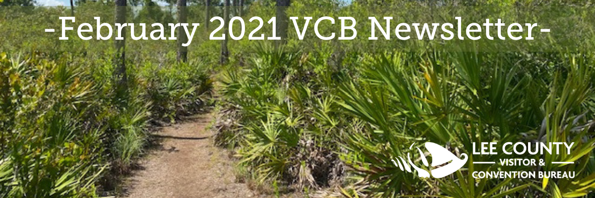 February 2021 VCB Newsletter