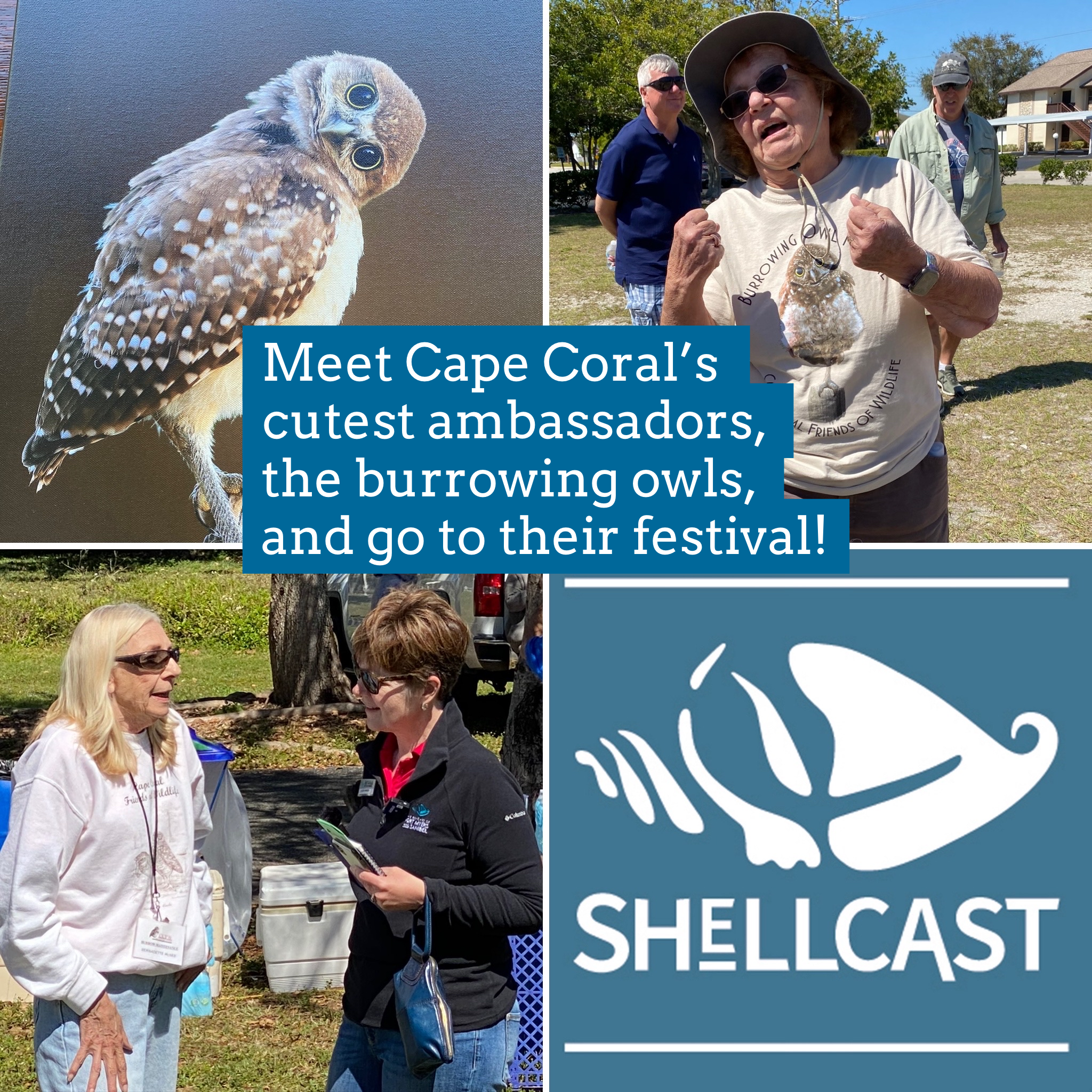 Shellcast visits the Burrowing Owl Festival 