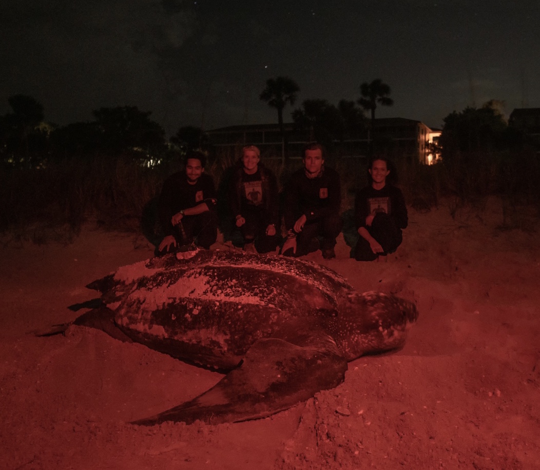 SCCF volunteers with Juniper the Leatherback sea turtle