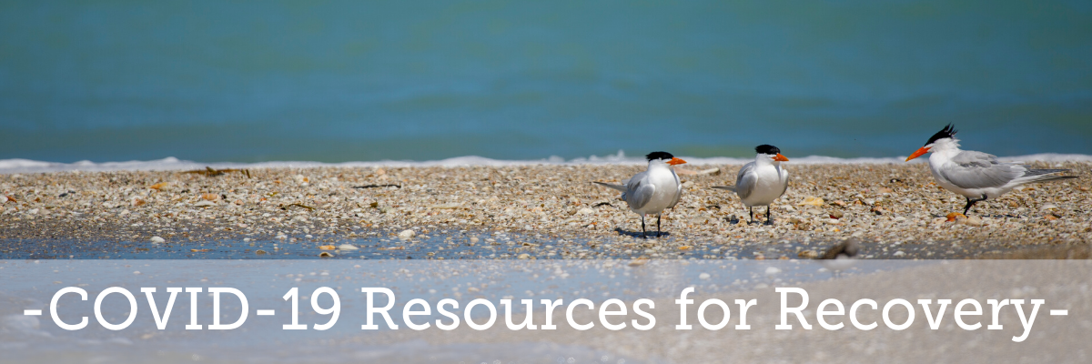 COVID-19 Resources for Recovery
