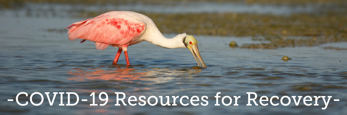 Covid-19 Resources for Recovery newsletter