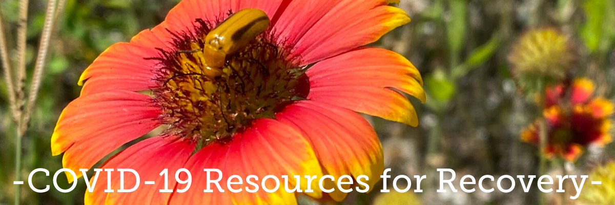 Covid-19 Resources for Recovery newsletter