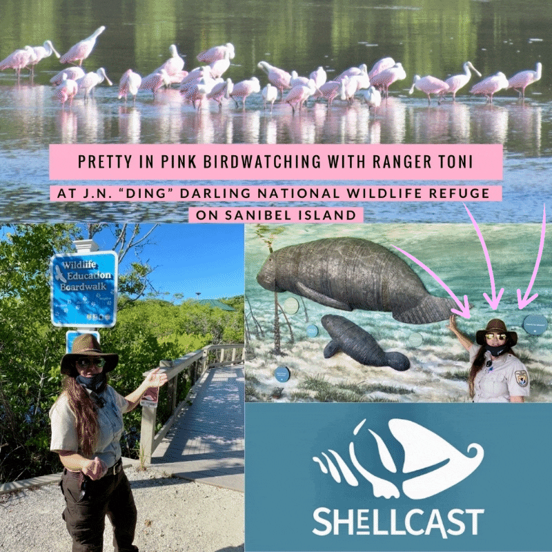 Shellcast the podcast