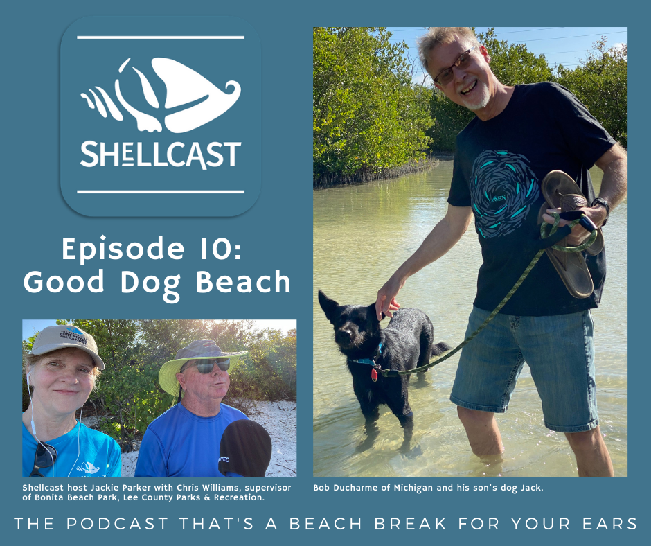 Shellcast episode at Dog Beach