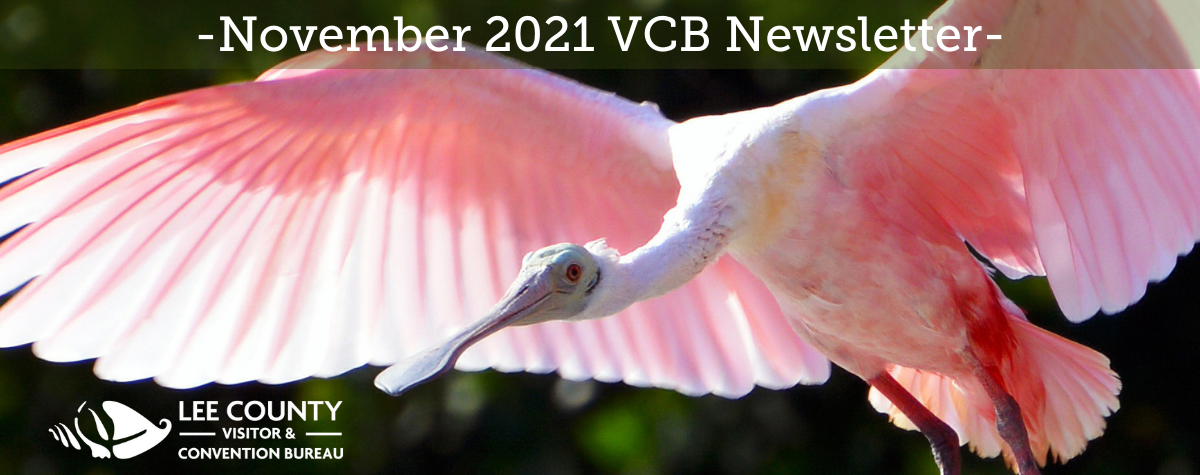 November 2021 VCB Newsletter
