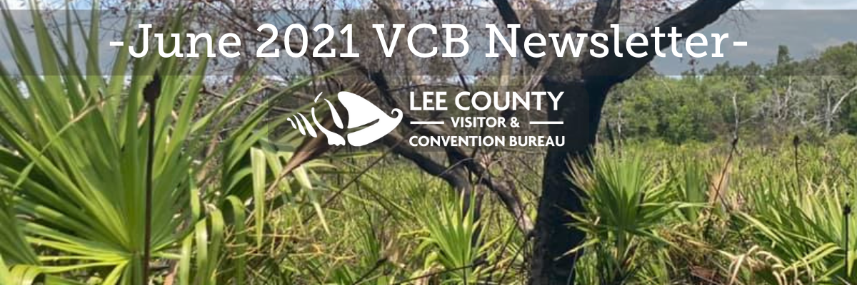 June 2021 VCB Newsletter